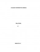 Causas del conflicto