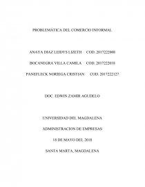 PROBLEMÁTICA DEL COMERCIO INFORMAL. Página 1