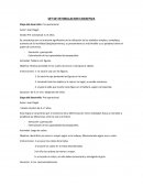 SET DE ESTIMULACION COGNITIVA