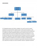 Escuela Dos Mundos. ORGANIGRAMA