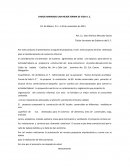 VAMOS ARMANDO UNA MEJOR FORMA DE VIDA A. C.