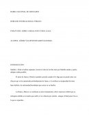ENSAYO DEL LIBRO: CABALLO DE FUEGO, GAZA.