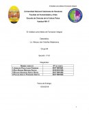 Voleibol RR-17 El Voleibol como Medio de Formación Integral