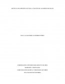 ARTÍCULO DE OPINIÓN LECTURA A TRAVÉS DE LAS REDES SOCIALES