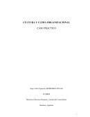 CULTURA Y CLIMA ORGANIZACIONAL CASO PRÁCTICO
