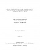 IMPACTOS AMBIENTALES GENERADOS POR LA CONTAMINACIÓN EN EL COMPLEJO CENAGOSO DEL CORREGIMIENTO DE SAN SEBASTIAN DEL MUNICIPIO DE LORICA EN EL AÑO 2018