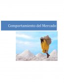 ESTUDIO DE MERCADO SAL GOURMET