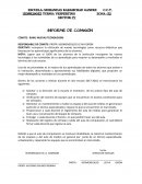 INFORME DE COMISIÓN COMITE: RAM/ NUEVAS TECNOLOGÍAS