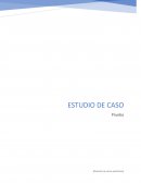 ¿Qué etapas encuentra?