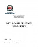 Cancer de mama y dieta