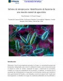 Microbiología Informe de laboratorio