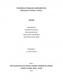 PROGRAMA DE FORMACION COMPLEMENTARIA MODALIDAD A DITANCIA Y VIRTUAL INFORME
