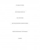 THE SANDALS THAT GROW