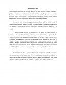 Plan clase de Inglés con música