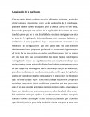 Debate Legalización de la marihuana