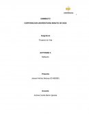 Actividad Proyecto de vida según las dimensones