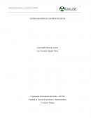 GENERALIDADES DE LOS PRESUPUESTOS