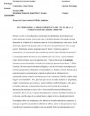 SI LE DIERAMOS LA MISMA IMPORTACIA DEL CELULAR A LA COSERVACIÓN DEL MEDIO AMBIENTE