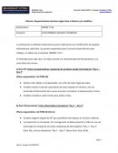 Informe: Requerimientos técnicos según ítem a fabricar y/o modificar