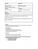 Dirección y estilos de liderazgo. Desarrollo del trabajo en equipo