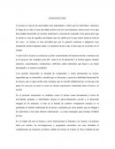 Lectura. La oferta educativa de Tulum