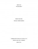 Proyecto Wiz khasdog