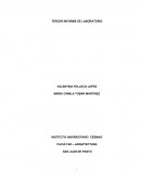 TERCER INFORME DE LABORATORIO