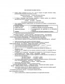 Guía de neurociencias