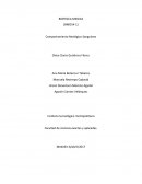 BIOFISICA MEDICA (BMO54-1)