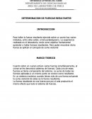 DETERMINACION DE FUERZAS RESULTANTES