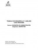 TRABAJO DE DESARROLLO Y ANÁLISIS CASO BRAHAMA