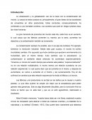 Contaminacion del mundo