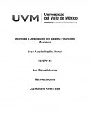 Actividad 5 Descripción del Sistema Financiero Mexicano