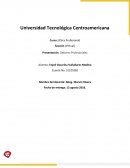 Presentación: Deberes Profesionales