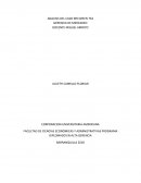 ANALISIS CASO MR GREEN TEA