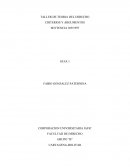 TALLER DE TEORIA DEL DERECHO CRITERIOS Y ARGUMENTOS