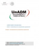 Comportamiento Organizacional. Unidad 1. Contextualización del comportamiento organizacional