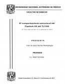 El comportamiento estructural del Capítulo XX del TLCAN