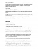 Antiguo origen del Estado