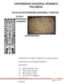 BARRA ENERGETICAS DE CEREALES ANDINOS