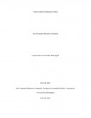 Ensayo sobre la educación virtual