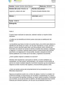 Modelos de negocios y cadena de valor