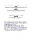 Caracteristicas de la merceologia