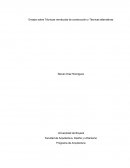 Tecnicas de construccion vernaculas