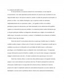 Los evaluación del adulto mayor