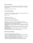 Dominios magnéticos.