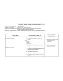 PLANIFICACION CURRICULAR SEGUNDO CICLO