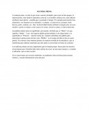 SIGNIFICADO DE LA MATERIA PRIMA
