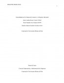 INFORME SOBRE LA ACTIVIDAD: ENTREGA DE FOLLETOS REGISTRO MERCANTIL