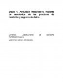 Actividad Integradora de LDC